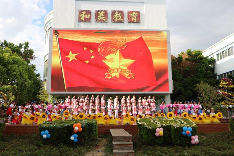 小仓鼠吃瓜子